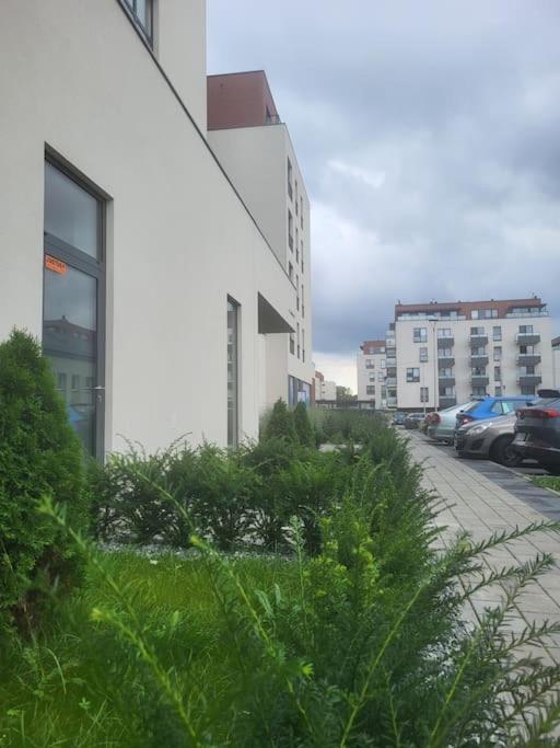 Olive Tree Apartment - Klimatyzacja - Air Conditioning-Self-Check-In Катовіце Екстер'єр фото