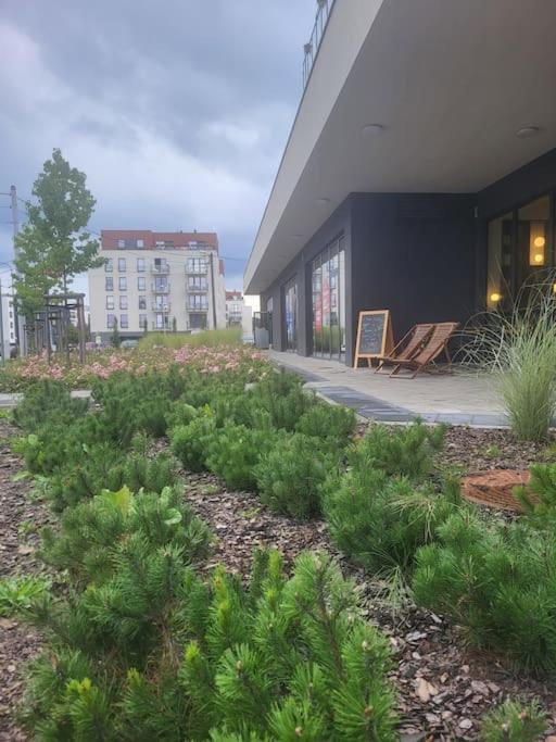 Olive Tree Apartment - Klimatyzacja - Air Conditioning-Self-Check-In Катовіце Екстер'єр фото